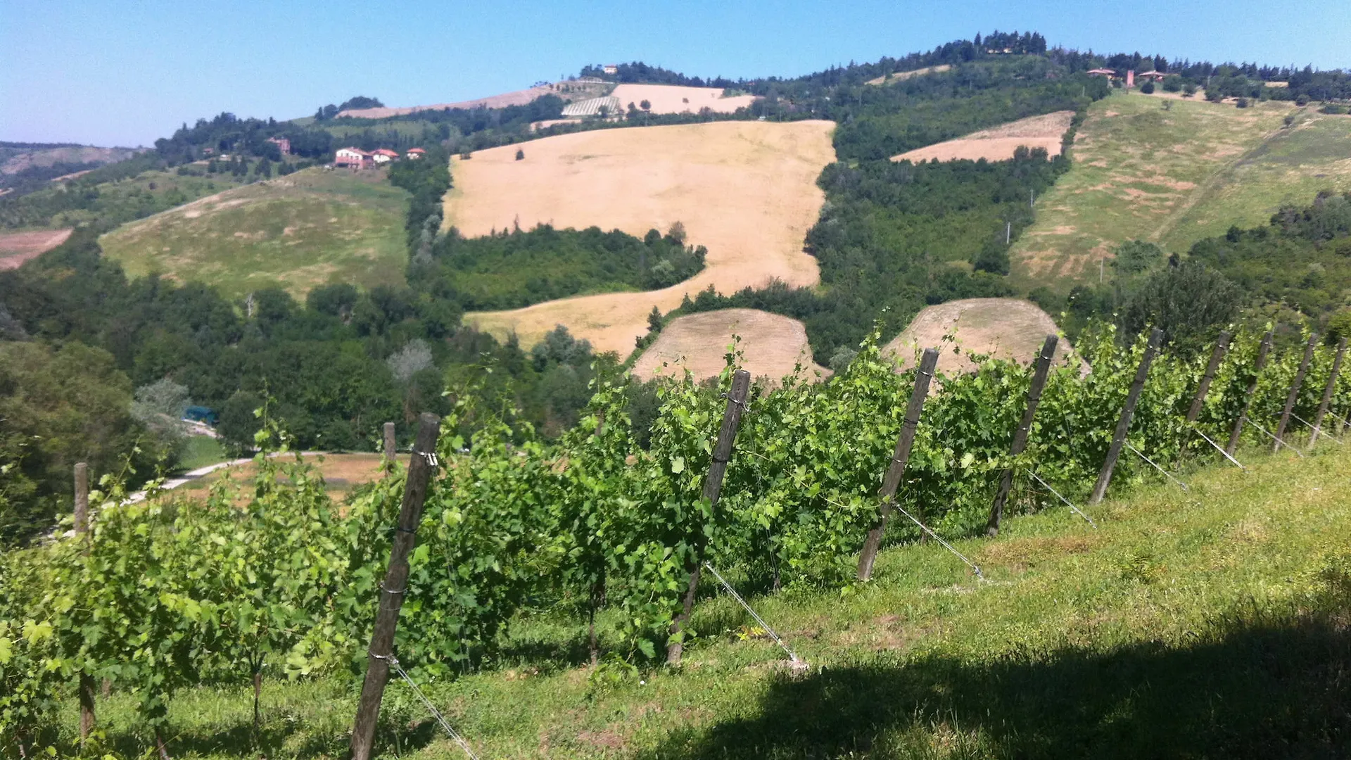 Agriturismo Ben Ti Voglio Bologna Farm stay